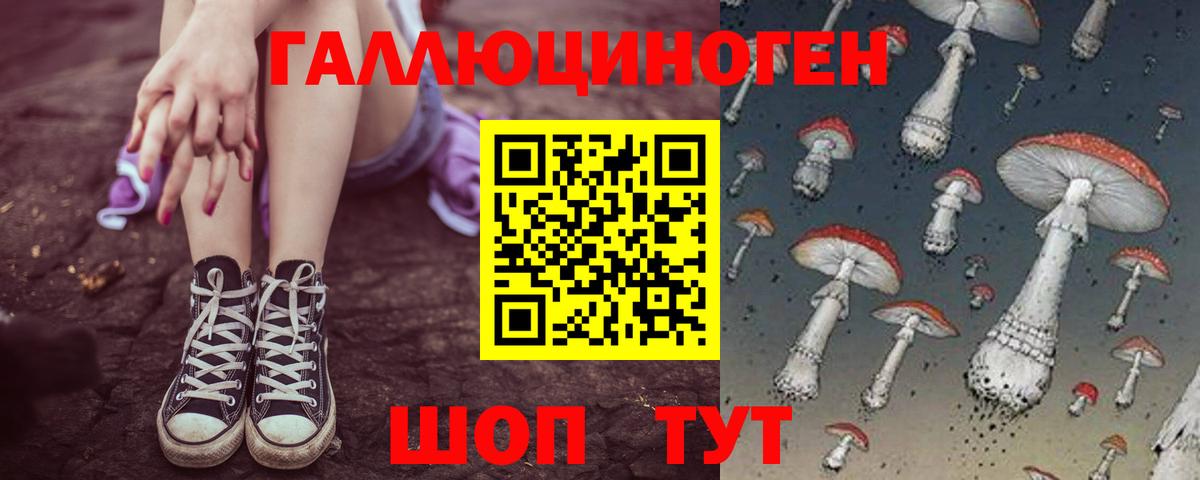 Псилоцибиновые грибы Psilocybe Донской